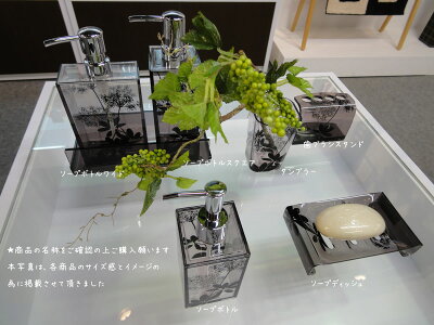歯ブラシスタンドサリナオープンスタイルで衛生的【RCP】