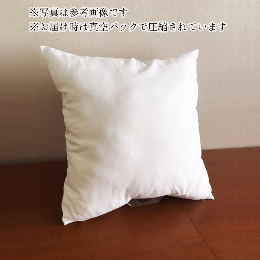 ヌードクッション 45cm×45cm クッショ...の紹介画像2
