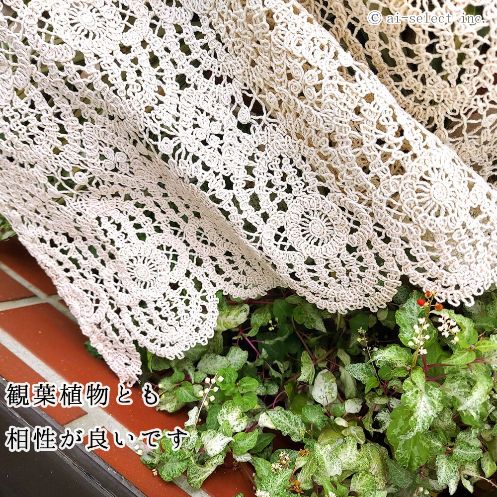 ai 即納　ベージュ 光と風が通る 目隠し出来る コットン レースカフェカーテン 横幅約120x45cm ショート シャビー 大人 アジアン 小窓用 おしゃれ エレガント ナチュラル モダン 天然素材 小窓用 おしゃれ 綺麗 ナチュラル 薄ベージュ 大人　可愛い　眩しさ軽減