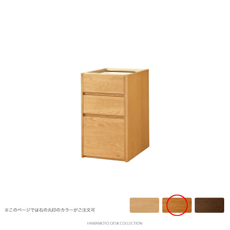 浜本工芸 学習机 No.6000タイプ 固定袖A [品番:No.6000固定袖AD60] (天板奥行き60cm用, ダークオーク色)【店頭受取対応商品】