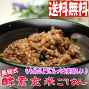 長岡式 酵素玄米ごはんS-size《125g×32食セット》(4000g)[玄米 ご飯パック 酵素玄米 発酵玄米 寝かせ玄米 玄米ごはん ごはん 玄米 玄米ご飯 ご飯 冷凍 冷凍食品 食品 おいしい玄米 美味しい玄米 ]