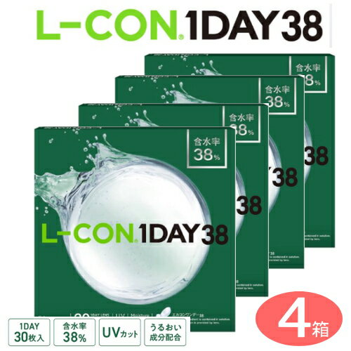 エルコンワンデー38 4箱セット （1箱30枚入り）(4)