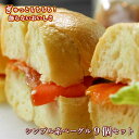 ベーグル Ai Bagel シンプル系ベーグル 9個セット ベーグル パン 手作り もちもち 国産 おすすめ 国産小麦 無添加 低カロリー ダイエット 卵 油脂 乳 不使用 冷凍 茹でてから焼くパン