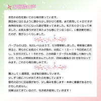 美顔器マスク家庭用シミくすみニキビ光エステLEDマスクコラーゲン毛穴しわ乾燥肌弾力ハリ老化防止ほうれい線美肌スキンケアSKINCAREOPTIONS7色LED美容マスク【送料無料迅速発送】