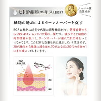 創傷美容専用美容液【ダーマソリューションセラム】ダーマスタンプ専用美容液創傷美容美顔器ダーマペンマイクロニードルニキビ跡鍼ダーマローラーEGFユーグレナフラーレンコラーゲンアラントインヒアルロン酸プロテオグリカン毛穴しわたるみ無香料