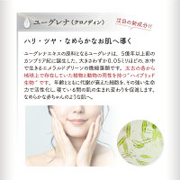 創傷美容専用美容液【ダーマソリューションセラム】ダーマスタンプ専用美容液創傷美容美顔器ダーマペンマイクロニードルニキビ跡鍼ダーマローラーEGFユーグレナフラーレンコラーゲンアラントインヒアルロン酸プロテオグリカン毛穴しわたるみ無香料