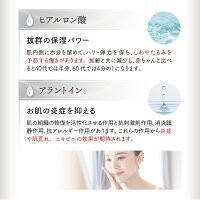 創傷美容専用美容液【ダーマソリューションセラム】ダーマスタンプ専用美容液創傷美容美顔器ダーマペンマイクロニードルニキビ跡鍼ダーマローラーEGFユーグレナフラーレンコラーゲンアラントインヒアルロン酸プロテオグリカン毛穴しわたるみ無香料