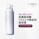 頭皮用 美容液 LINKA esthé リンカエステ ヘッド スカルプ セラム 保湿 ローション エッセンス 化粧水 乾燥対策 スカルプ 頭皮ケア エイジングケア 炭酸 ヘッドスパ スプレー 男性 女性 産後 抜け毛 ケア