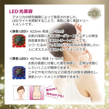 キャビテーション エステ ラジオ波 家庭用 フェイス EMS 超音波 LED ダイエット器具 ★ スペシャルセット ★ フェイス＆ボディ キャビテーション ＆ クリアージェル 2kg 送料無料 保証付