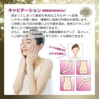 送料無料メーカー保証BEAUTYTECHNOLOGYフェイス&ボディキャビテーション