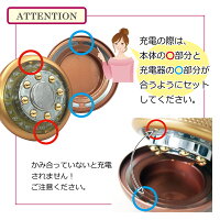 送料無料メーカー保証BEAUTYTECHNOLOGYフェイス&ボディキャビテーション