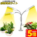 【お買い物マラソン期間中 P5倍 】植物育成ライト LED植物育成灯 ledライト 育苗ライト 132個LED E27電球仕様 多肉植物育成 室内栽培ライト 家...