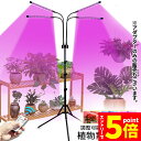 【お買い物マラソン期間中 P5倍 】植物育成ライト LED植物育成灯 観葉植物 4ヘッド式ライト 5v 10段階調光 自動ON/OFF 室内/水耕栽培ランプ タ...