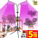 【お買い物マラソン期間中 P5倍 】植物育成ライト LED植物育成灯 観葉植物 4ヘッド式ライト 2個セット 5v 10段階調光 自動ON/OFF 室内/水耕栽...