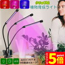 【お買い物マラソン期間中 P5倍 】植物育成ライト LED植物育成灯 室内栽培ランプ 3個セット 3つ照明モード 9段階調光 観葉植物 3ヘッド式ライト 5v ...