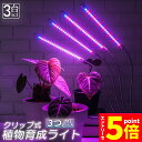 【お買い物マラソン期間中 P5倍 】植物育成ライト 植物育成ランプ LED植物育成灯 3個セット 室内栽培ランプ 3つ照明モード 9段階調光 観葉植物 4ヘッド...