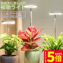 【お買い物マラソン期間中 P5倍 】LED植物育成ライト 植物育成ライト 鉢植えに差し込む 4段階調光 LED 植物ライト 植物育成ランプ 観葉植物用ライト 室...