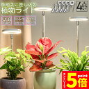 【お買い物マラソン期間中 P5倍 】LED植物育成ライト 植物育成ライト 鉢植えに差し込む 4点セット 4段階調光 LED 植物ライト 植物育成ランプ 観葉植物...