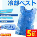 ★P5倍 マラソンセール★冷却ベスト 水冷 クールベスト 冷感ベスト 空調服 物理冷却 熱中症 猛暑対策 冷却服 ひんやりグッズ 保冷 工事現場 工場内 屋外 スポーツ 冷感 涼しい 保冷服 農業 屋外作業 釣り 暑さ対策 夏用 送料無料