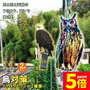 ★P5倍 マラソンセール★鳥よけ 鳥よけフクロウ 鳥よけテープ 2個セット 反射板 鳥よけグッズ 鳥対策 防鳥対策 鳥被害 鳥撃退 鳥の糞 カラス撃退 鳩撃退グ...