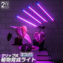 植物育成ライト 植物育成ランプ LED植物育成灯 2個セット 室内栽培ランプ 3つ照明モード 9段階調光 観葉植物 4ヘッド式ライト 5v 自動ON/OFF 室...