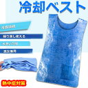 冷却ベスト 水冷 クールベスト 冷感ベスト 空調服 物理冷却 熱中症 猛暑対策 冷却服 ひんやりグッズ 保冷 工事現場 工場内 屋外 スポーツ 冷感 涼しい 保...