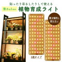 LED植物育成ライト 植物育成ライト 2連 2枚 薄型 板状 板 パネル 5段階調光 LED 植物ライト 植物育成ランプ 観葉植物用ライト 室内栽培ランプ 定時...
