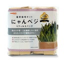 猫草栽培キット にゃんベジ リフィル2パック 【3980円以上お買い上げで送料無料】