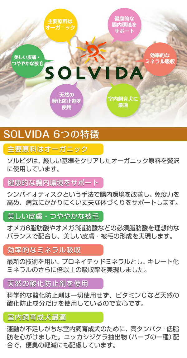 ソルビダ SOLVIDA グレインフリー チキ...の紹介画像2