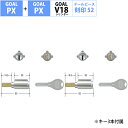 GOAL ゴール 鍵 交換 自分で DIY マンション 玄関ドア ディンプル V18シリンダー PX GD TDD PXK SK PXG 2個同一キー テールピース52 GCY-264