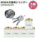 MIWA abN  p ֗p U9V_[ LSP LE TE01 PESP GAF FE GAA TE24 STF MCY-138