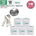 MIWA abN  p ֗p PRV_[ LSP LE TE01 PESP GAF FE GAA TE24 STF MCY-262