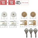 GOAL ゴール 鍵 交換 TX用 玄関ドア 5ピン シリンダー錠 自分で DIY TTX TXK TGG TXK-QDD866 2個同一 シルバー塗装 アンバー塗装 GCY-76 GCY-78