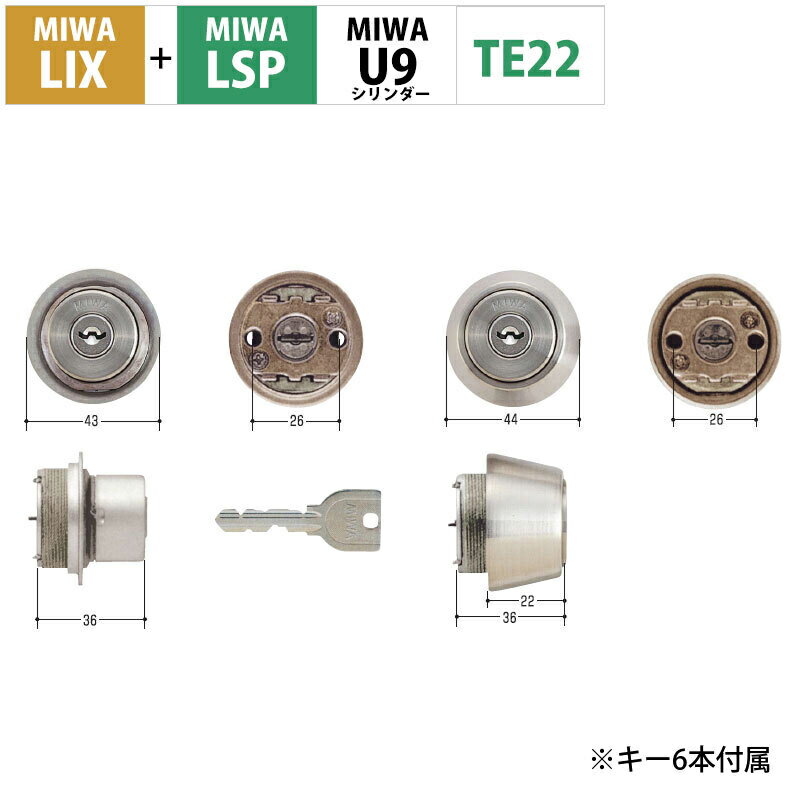 MIWA 美和ロック 鍵 交換 玄関ドア 自分で マンション U9シリンダー LIX+LSP PE01 TE01 LE01 2個同一キー ST色 MCY-402 シルバー