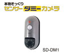 リーベックス センサーダミーカメラ SD-DM1 送料無料 あす楽 防犯カメラ 監視 不審者対策 電池式 簡単設置 畑荒らし対策 配線不要 防犯カメラ