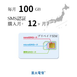 ★ポイント10倍☆プリペイドSIM「購入月月額無料」大容量毎月100GBx12ヶ月 キャリア直回線 日本 Japan Prepaid SIM card LTE対応 SMS認証可能 利用期限延長可能 テレワーク 在宅勤務 当日発送