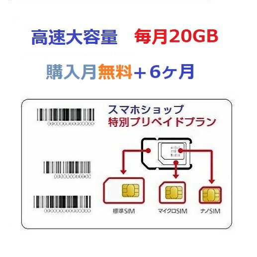 「購入月無料」毎月20GB x6ヶ月 プリペイドSIMカード キャリア直回線 日本 Japan Prepaid SIM card LTE対応 利用期限延長可能 テレワーク 在宅勤務 サブ機