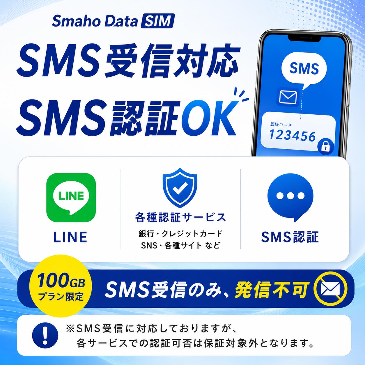 【超大容量】 毎月 100GB プリペイド SIM ［3/6/12ヶ月］ 利用期限延長可能 購入月...
