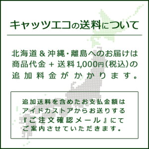 キャッツエコお試し1袋【お一人様一袋一回限り】高い消臭力固まる猫の砂臭い防止/ニオイ猫砂砂猫猫のトイレねこすな【4月中は送料無料】【猫用品】【楽天】【業務用にも最適】