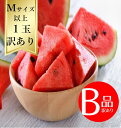 【送料無料】大玉 すいかMサイズ以上1玉 訳あり B品R7年度先行予約商品