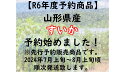 【送料無料】大玉 すいかMサイズ以上1玉 秀品 R6年度先行予約商品 2