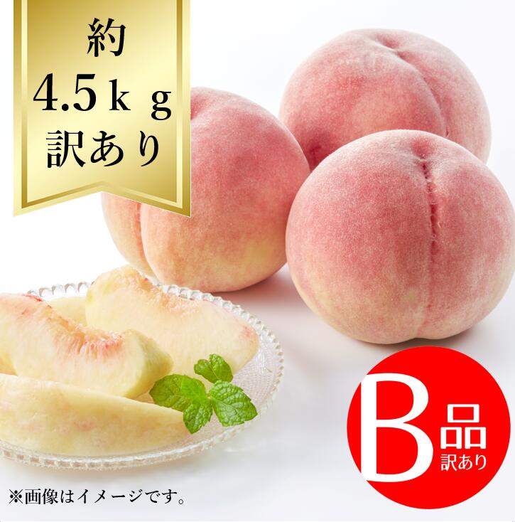 【送料無料】白桃 サイズおまかせ約4.5kg 訳あり B品R8年度先行予約商品