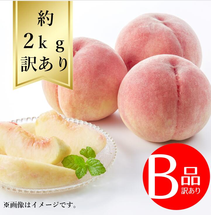 【送料無料】白桃 サイズおまかせ約2kg 訳あり B品R8年度先行予約商品