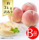 【送料無料】白桃 サイズおまかせ約3kg 訳あり B品R6年度先行予約商品