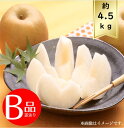 【送料無料】和梨 サイズおまかせ約4.5kg 訳あり B品R6年度先行予約商品