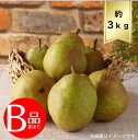 【送料無料】ラフランスサイズおまかせ約3kg B品 訳ありR7年度先行予約商品