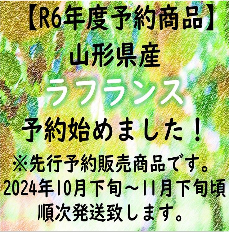 【送料無料】ラフランス サイズおまかせ約3kg 秀品R6年度先行予約商品 2