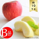 【送料無料】サンふじりんごサイズおまかせ約10kg B品 訳ありR6年度先行予約商品