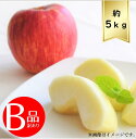 【送料無料】サンふじりんごサイズおまかせ約5kg B品 訳ありR6年度先行予約商品