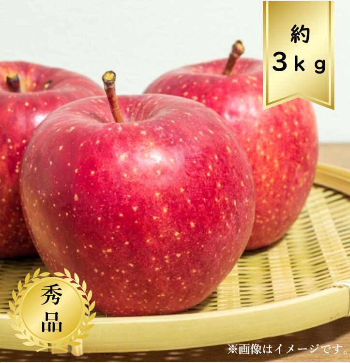 りんご 【送料無料】サンふじりんごサイズおまかせ約3kg 秀品R6年度先行予約商品